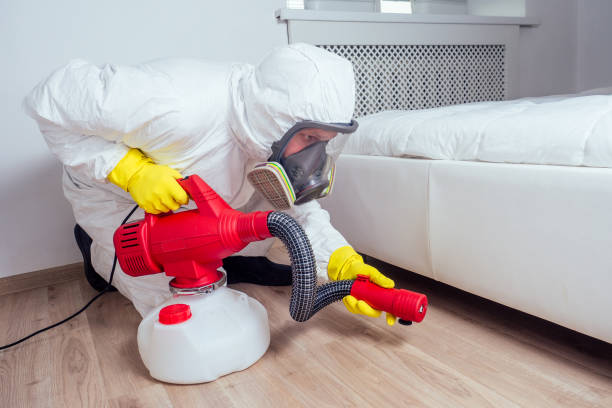 Best Bed Bug Extermination  in Mamou, LA